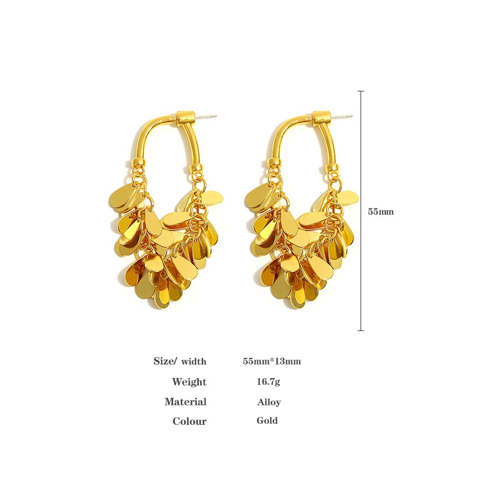 Lucia Gole: Fashion Water Drop Sequins Tassel Earrings - Lucia Gole