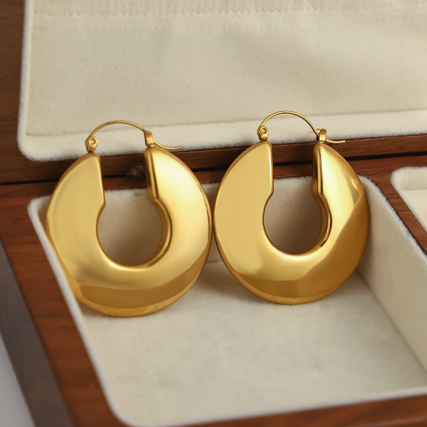 Lucia Gole Stainless Steel Gold Color Chunky Hoop Earrings - Lucia Gole